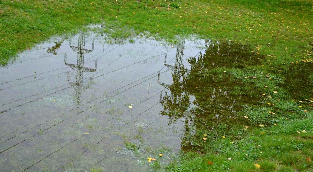 A puddle of standing water on someone’s lawn with nearby power lines in the water’s reflection.